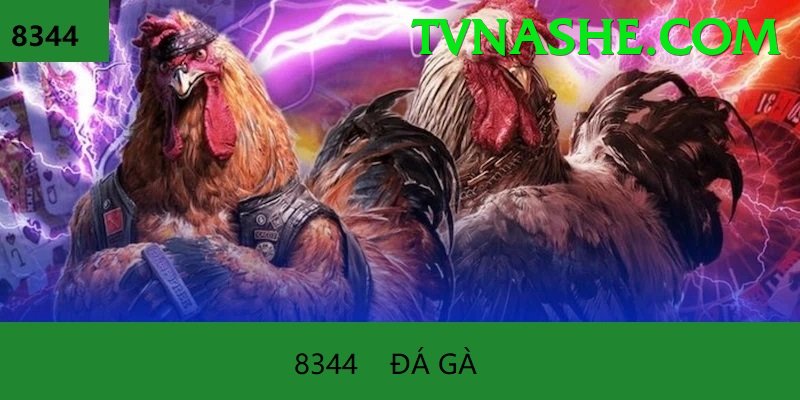 Đá Gà Trực Tiếp - Ưu đãi đặc biệt